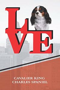 Cavalier King Charles Spaniel