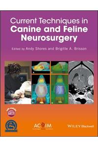 Current Techniques in Canine and Feline Neurosurgery