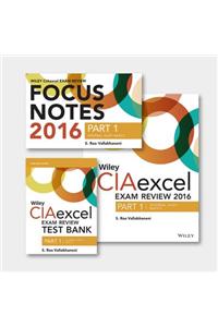 Wiley Ciaexcel Exam Review + Test Bank + Focus Notes 2016: Part 1, Internal Audit Basics Set