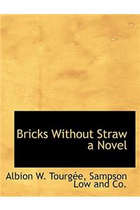 Bricks Without Straw a Novel