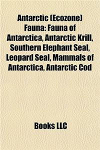 Antarctic (Ecozone) Fauna