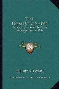 The Domestic Sheep