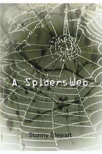 A Spiders Web
