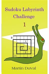 Sudoku Labyrinth Challenge 1