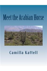 Meet the Arabian Horse