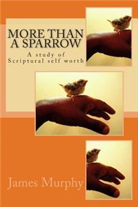 More than a Sparrow