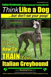 Italian Greyhound, Italian Greyhound Training AAA AKC