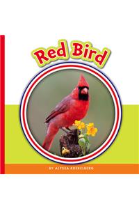 Red Bird