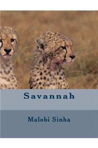 Savannah