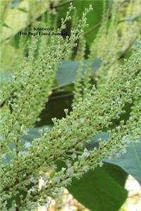 Knotweed 100 Page Lined Journal
