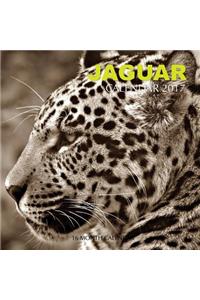 Jaguar Calendar 2017