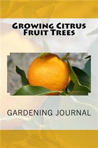 Growing Citrus Fruit Trees