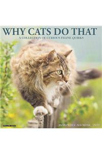 Why Cats Do That 2020 Wall Calendar