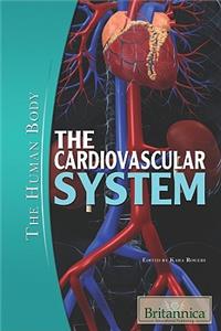 Cardiovascular System