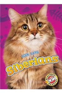 Siberians