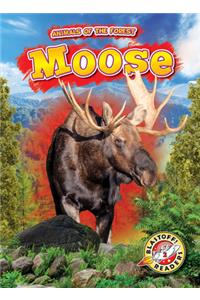Moose