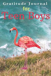 Gratitude Journal for Teen Boys