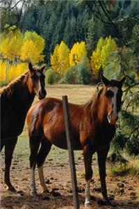 2020 Daily Planner Horse Photo Equine Horses Yellow Trees 388 Pages