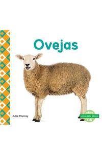 Ovejas (Sheep)