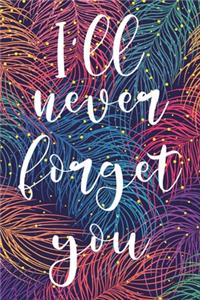 I'll Never Forget You