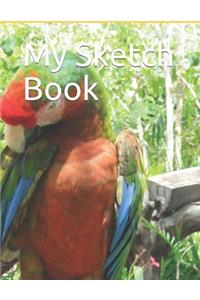 My Sketch Book