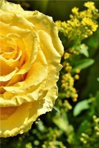 Rose Notebook