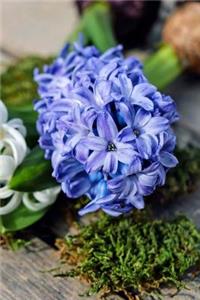 Hyacinth Notebook