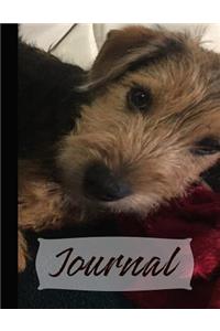 Journal