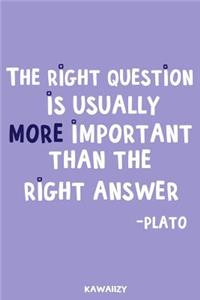 The Right Question Is Usually More Important Than the Right Answer - Plato