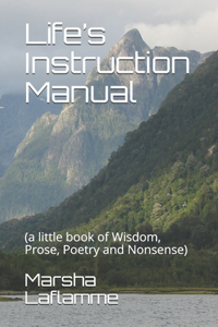 Life's Instruction Manual