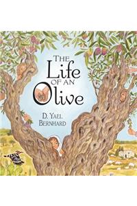 Life of an Olive