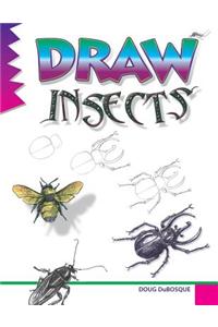 Draw Insects