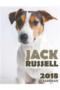 Jack Russell 2018 Calendar