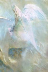 Pegasus Notebook
