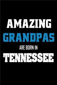 Amazing Grandpas Are Born In Tennessee