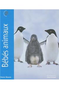 B'B's Animaux