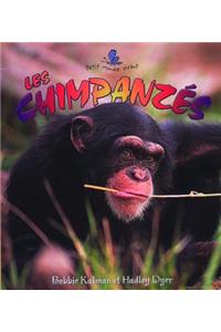 Les Chimpanzes