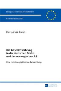 Die Geschaeftsfuehrung in der deutschen GmbH und der norwegischen AS