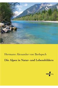 Die Alpen in Natur- und Lebensbildern