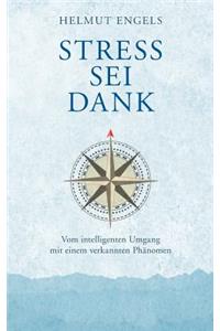 Stress SEI Dank