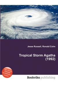 Tropical Storm Agatha (1992)