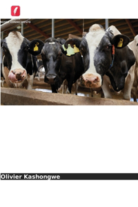 As práticas agrícolas afectam a produção de leite, a qualidade e as perdas no Quénia