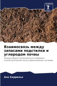 Взаимосвязь между запасами подстилки и m