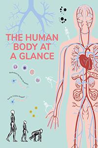 Human Body at a Glance