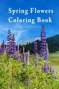 Spring Flowers Coloring Book