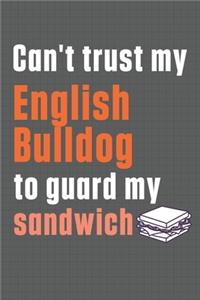Can't trust my English Bulldog to guard my sandwich
