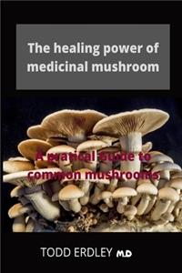 The Healing Power of Medicinal Mushroom