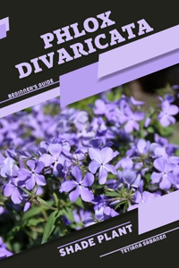 Phlox divaricata