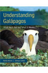 Understanding Galapagos