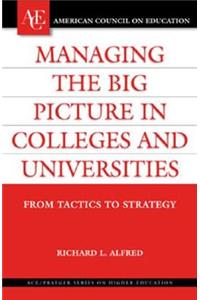 Managing the Big Picture in Colleges and Universities